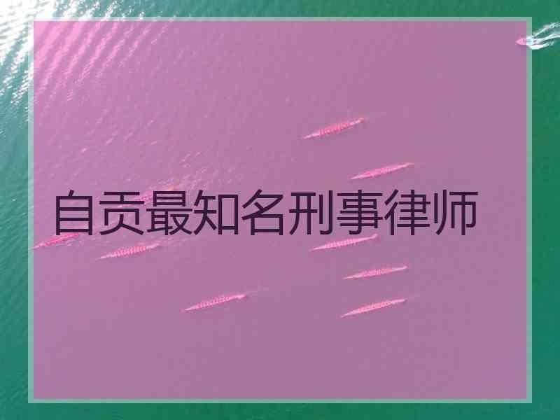 自贡最知名刑事律师