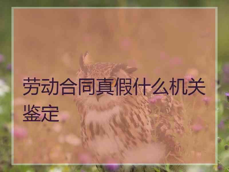 劳动合同真假什么机关鉴定