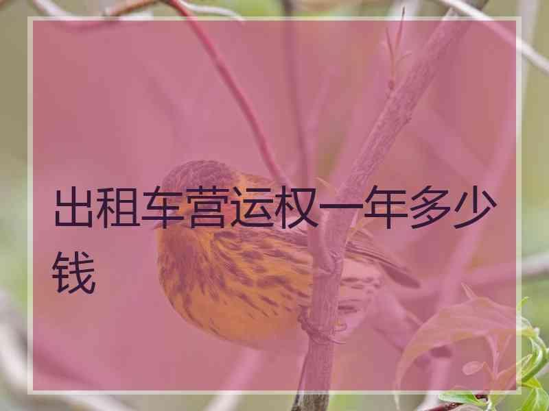 出租车营运权一年多少钱