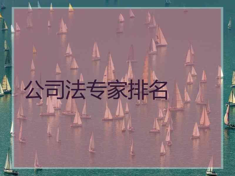 公专家排名