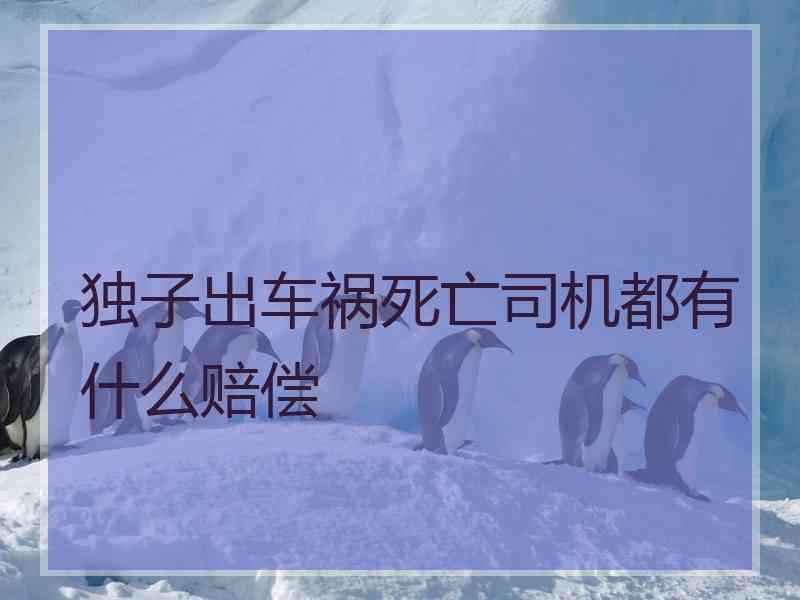 独子出车祸死亡司机都有什么赔偿