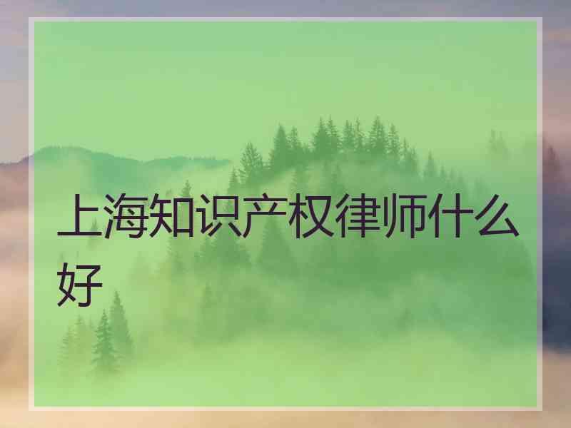 上海知识产权律师什么好