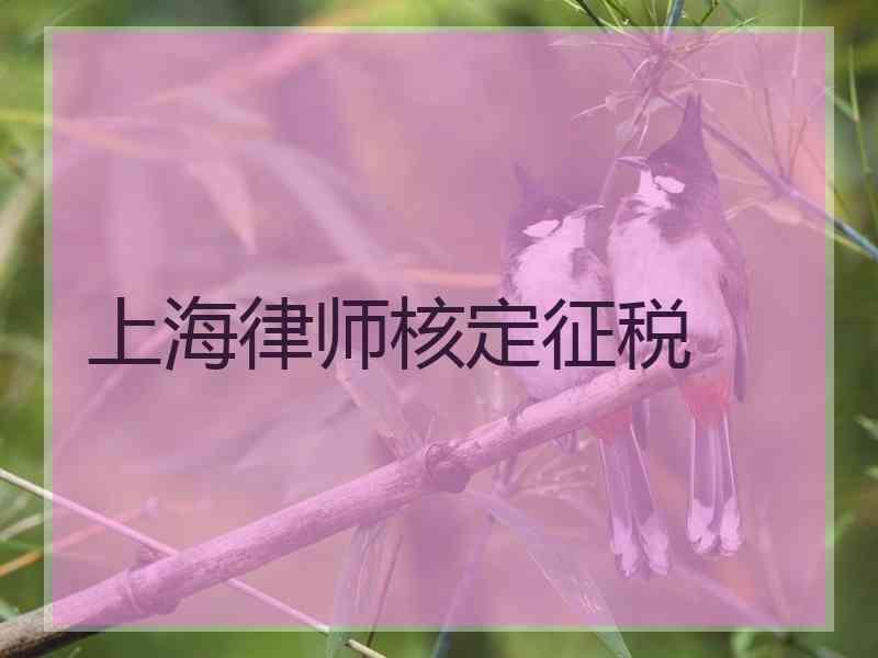 上海律师核定征税