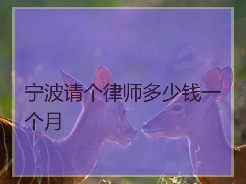 宁波请个律师多少钱一个月