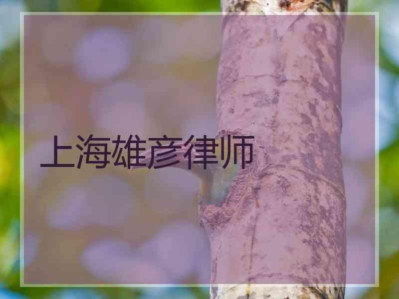 上海雄彦律师