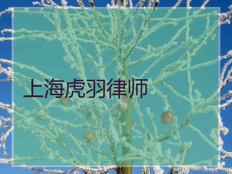 上海虎羽律师