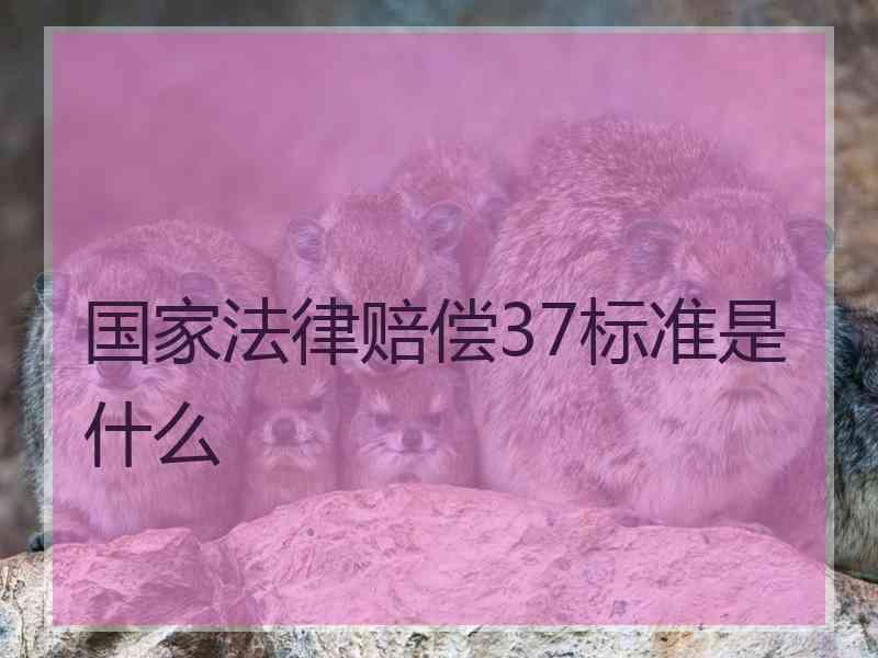 国家法律赔偿37标准是什么