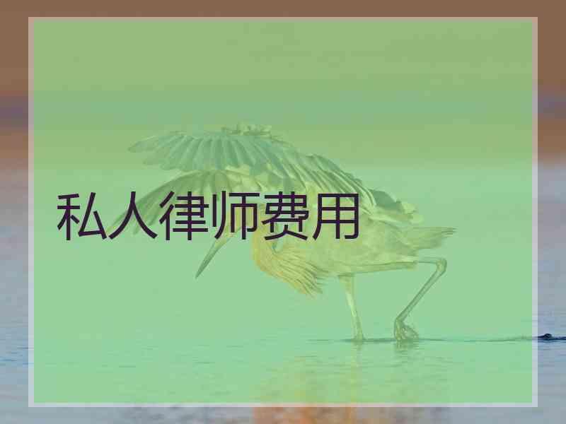 私人律师费用