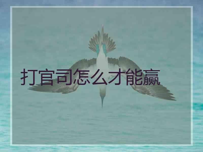打官司怎么才能赢