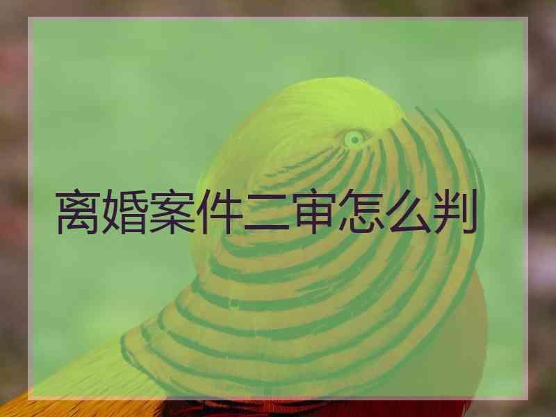 离婚案件二审怎么判