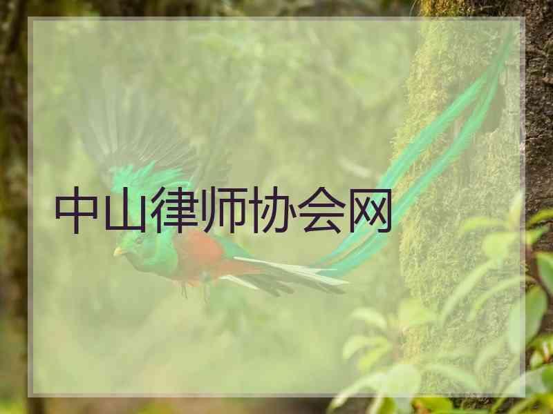中山律师协会网