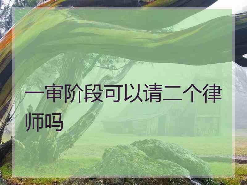 一审阶段可以请二个律师吗