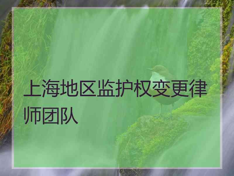 上海地区监护权变更律师团队