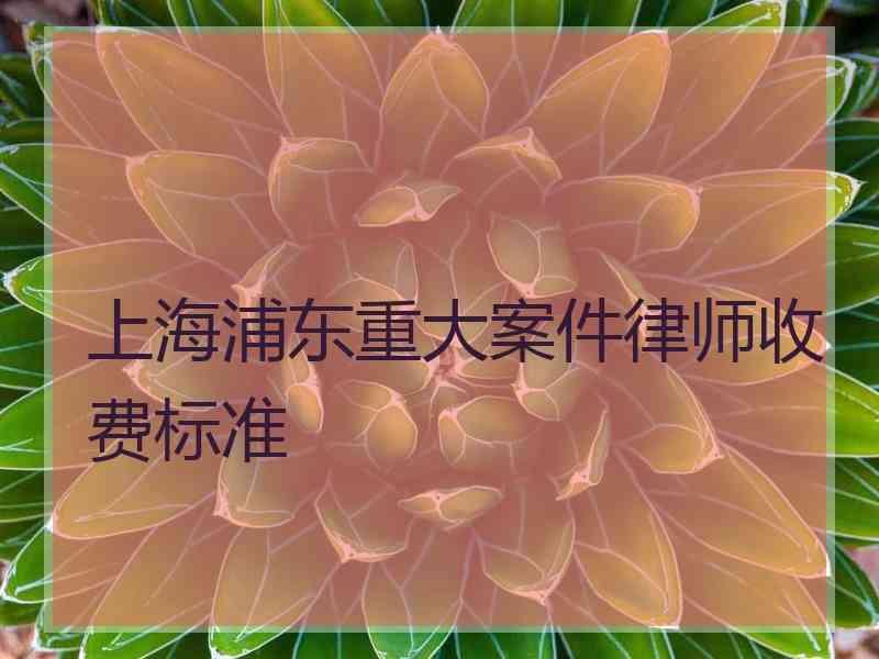 上海浦东重大案件律师收费标准