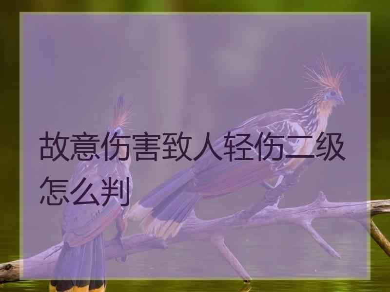 故意伤害致人轻伤二级怎么判