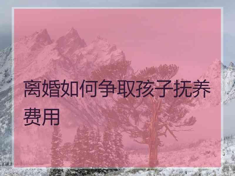 离婚如何争取孩子抚养费用