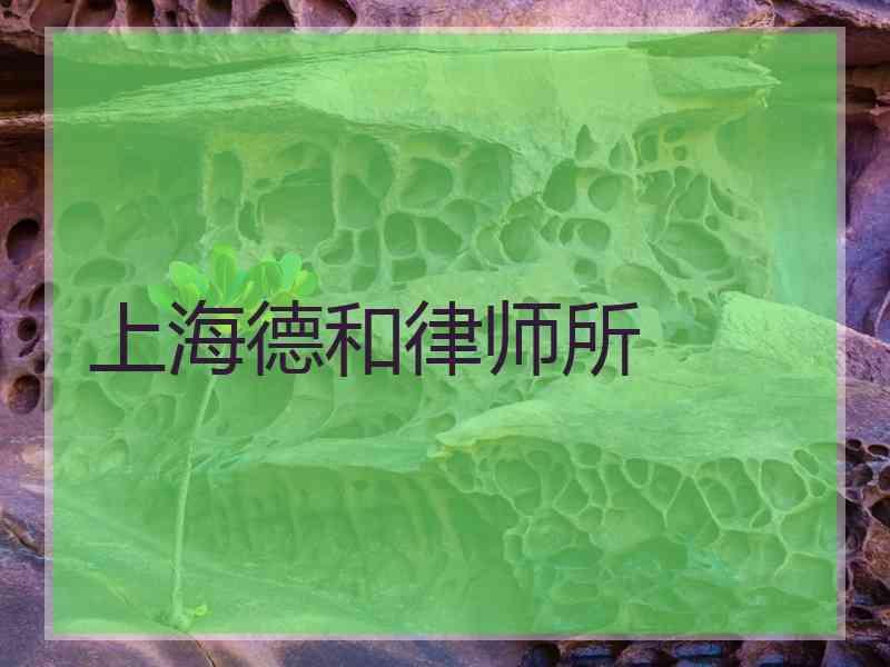 上海德和律师所