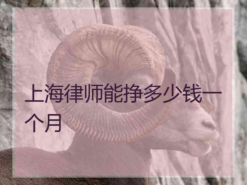 上海律师能挣多少钱一个月