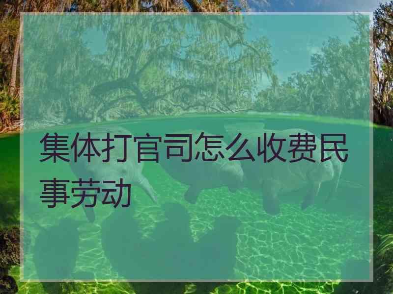 集体打官司怎么收费民事劳动