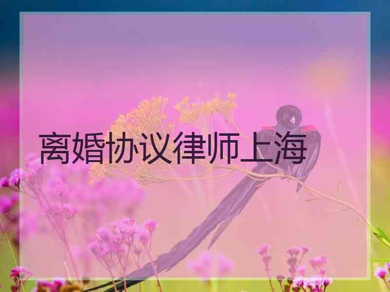 离婚协议律师上海