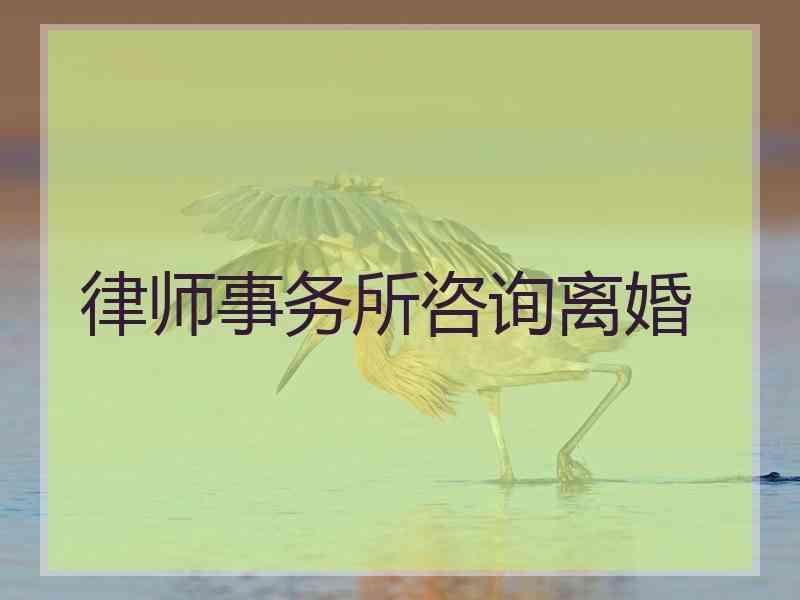 律师事务所咨询离婚