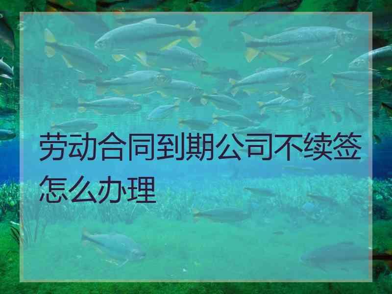 劳动合同到期公司不续签怎么办理