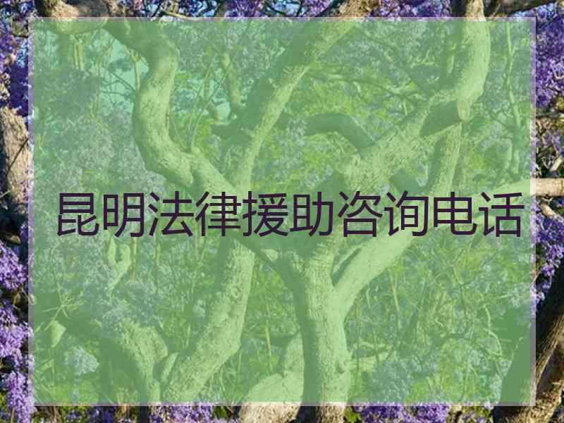 昆明法律援助咨询电话