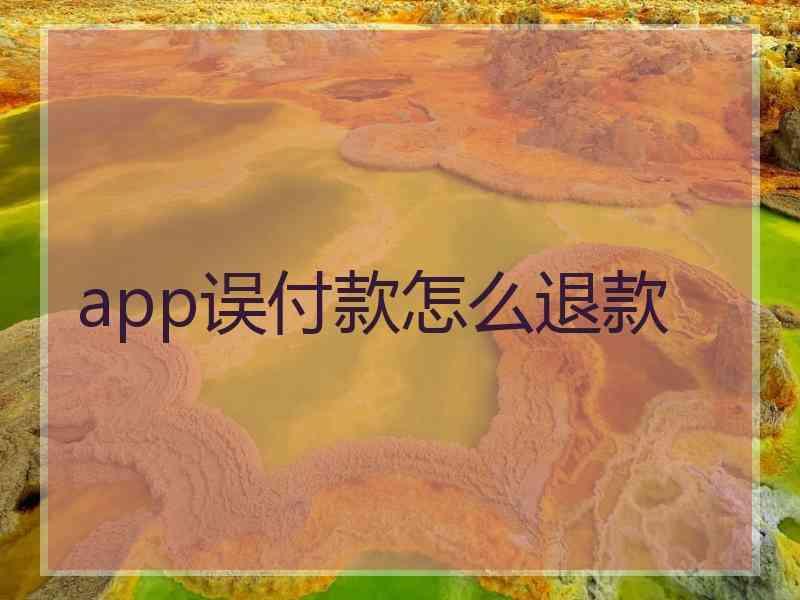 app误付款怎么退款