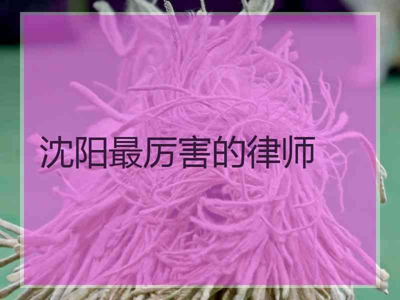 沈阳最厉害的律师