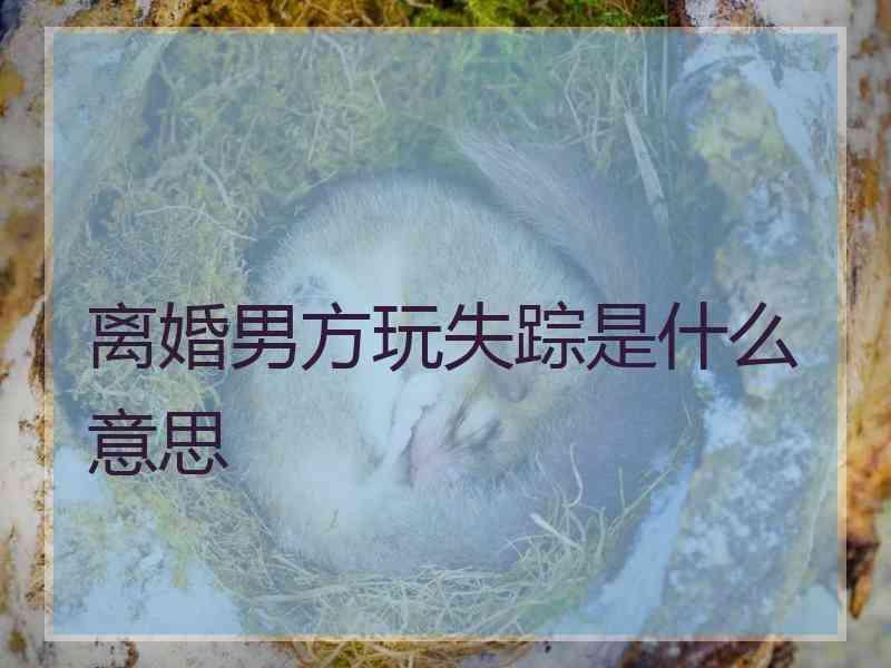 离婚男方玩失踪是什么意思