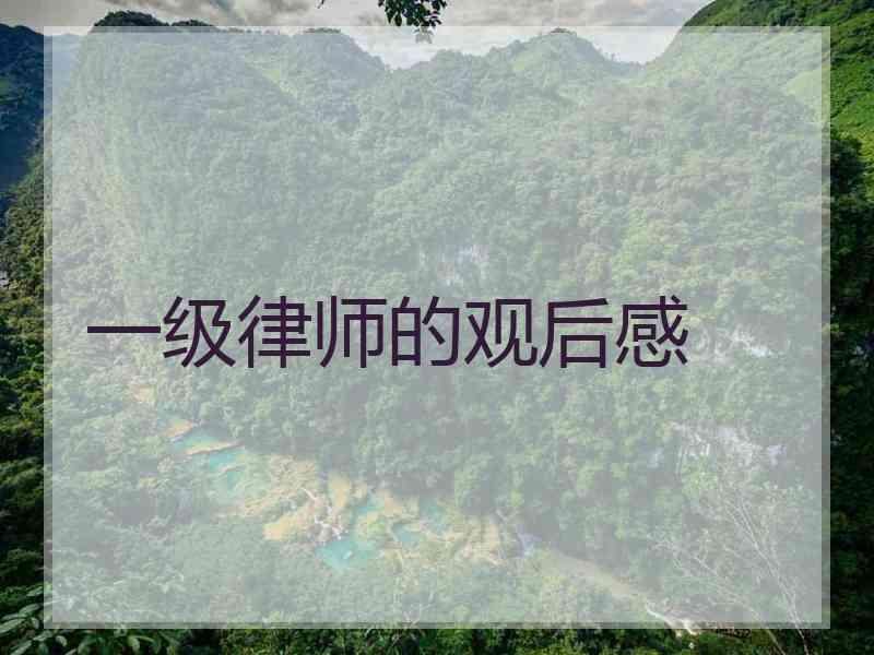 一级律师的观后感