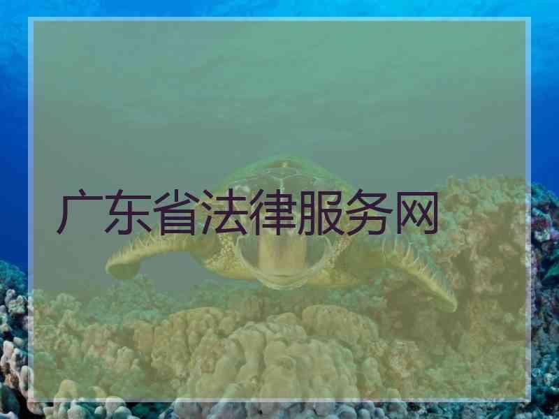 广东省法律服务网