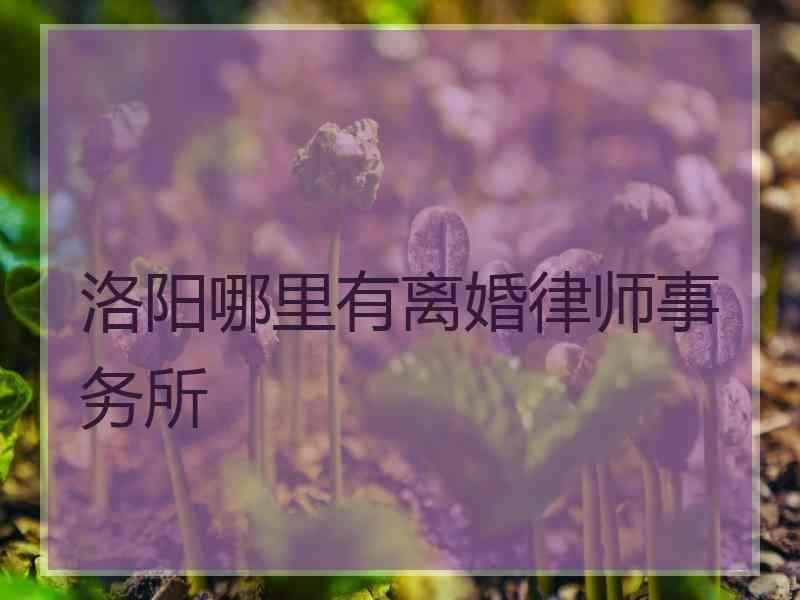 洛阳哪里有离婚律师事务所