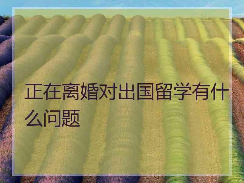 正在离婚对出国留学有什么问题