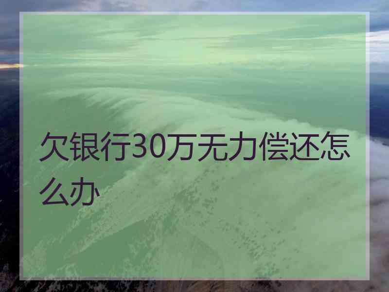 欠银行30万无力偿还怎么办