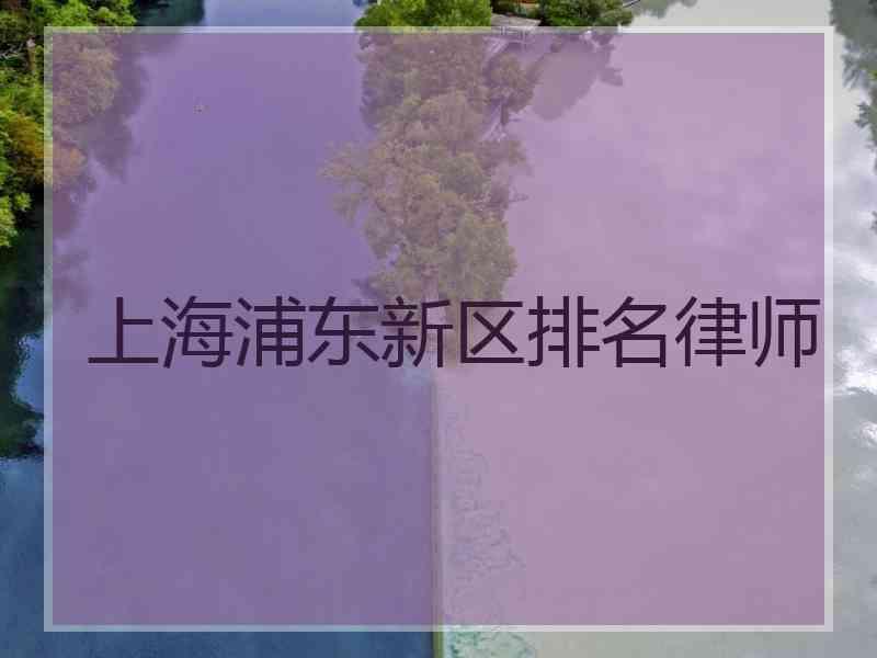 上海浦东新区排名律师