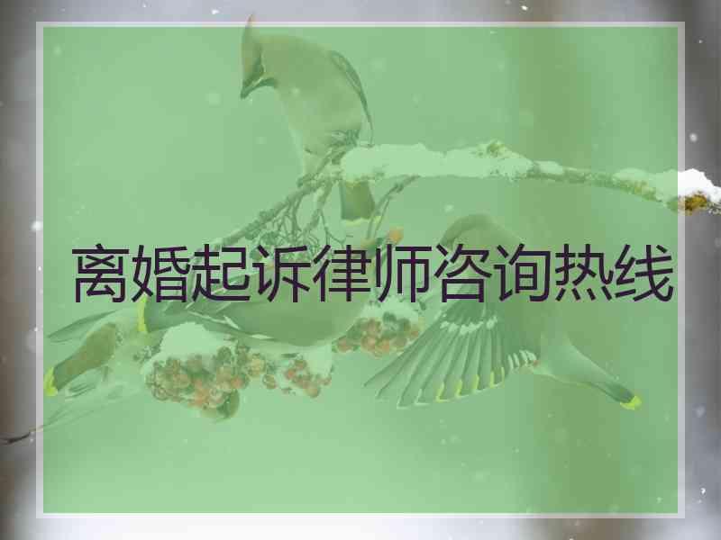 离婚起诉律师咨询热线
