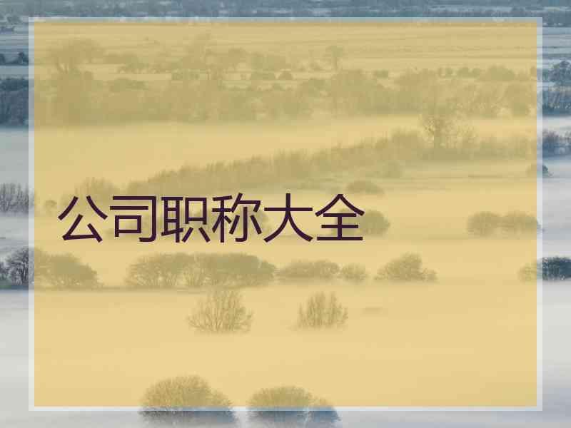 公司职称大全
