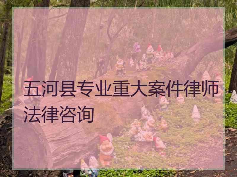 五河县专业重大案件律师法律咨询