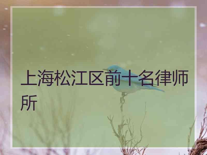 上海松江区前十名律师所