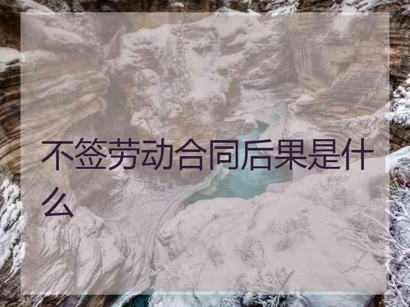 不签劳动合同后果是什么