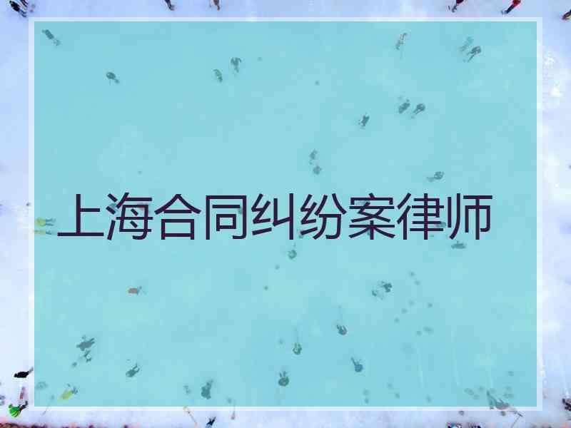 上海合同纠纷案律师