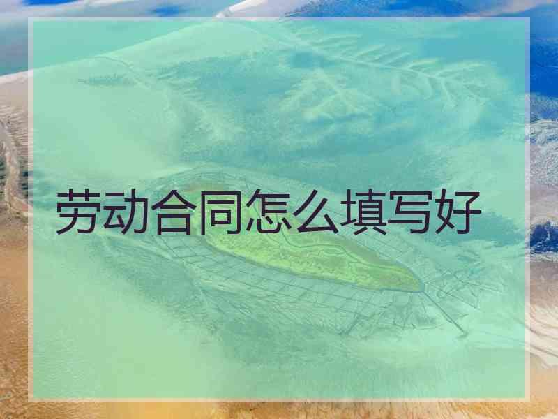 劳动合同怎么填写好