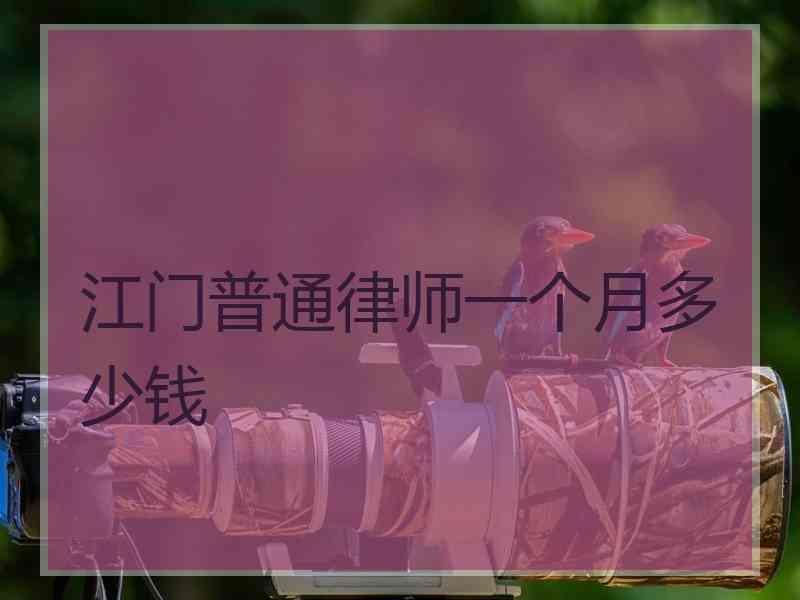 江门普通律师一个月多少钱