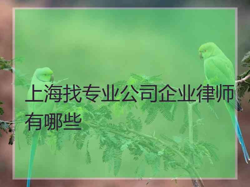 上海找专业公司企业律师有哪些