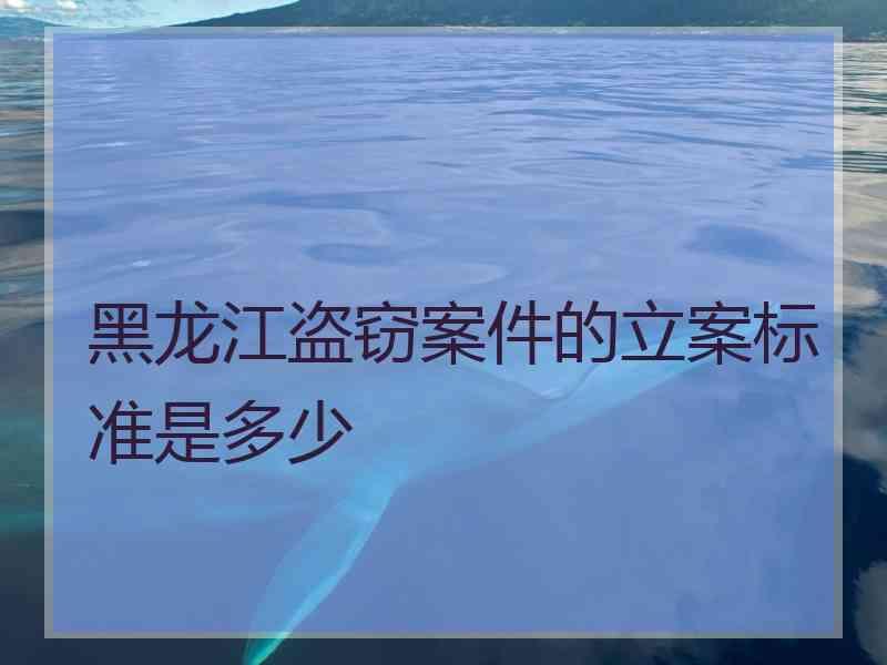 黑龙江盗窃案件的立案标准是多少