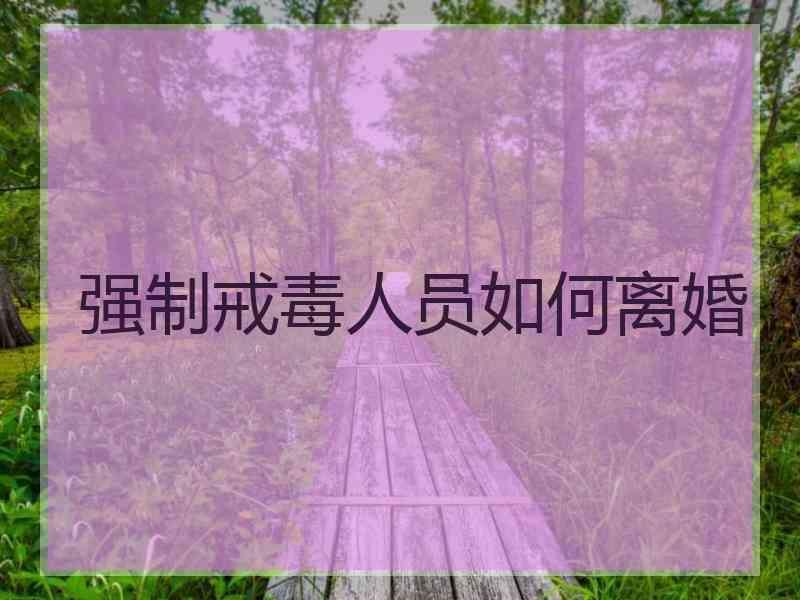 强制戒毒人员如何离婚