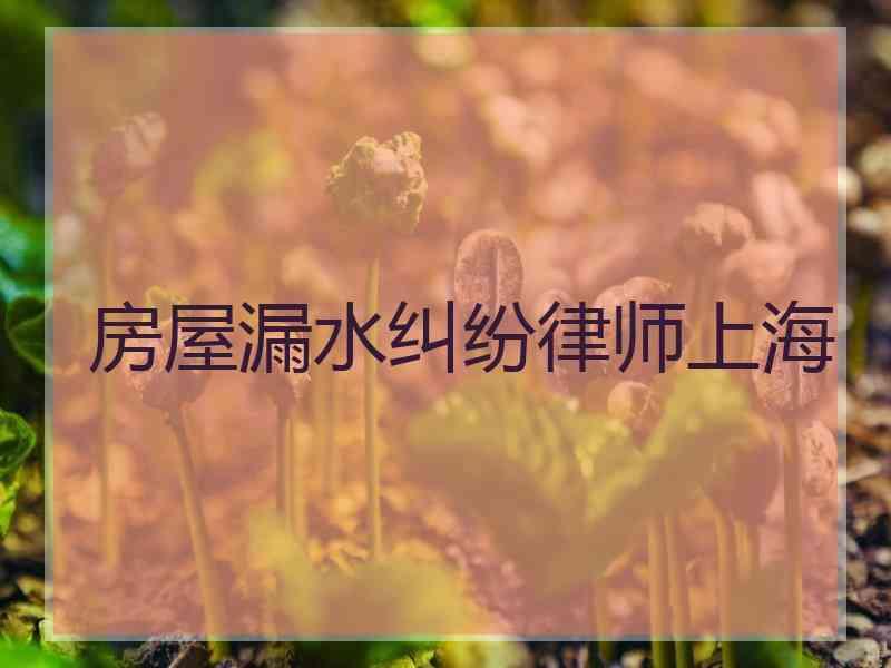 房屋漏水纠纷律师上海