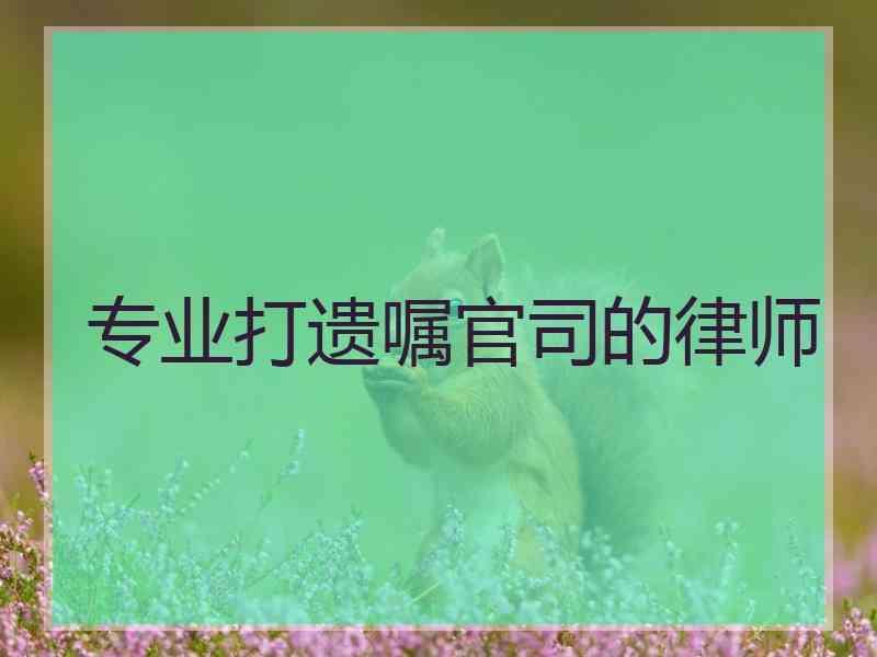 专业打遗嘱官司的律师