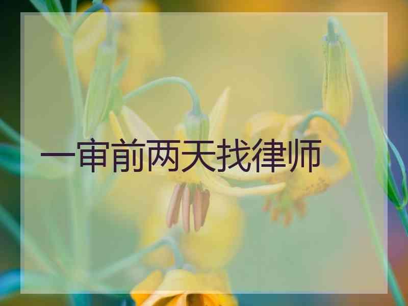 一审前两天找律师